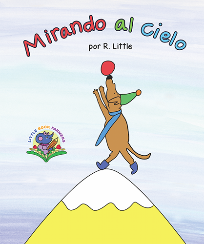 Mirando al Cielo
